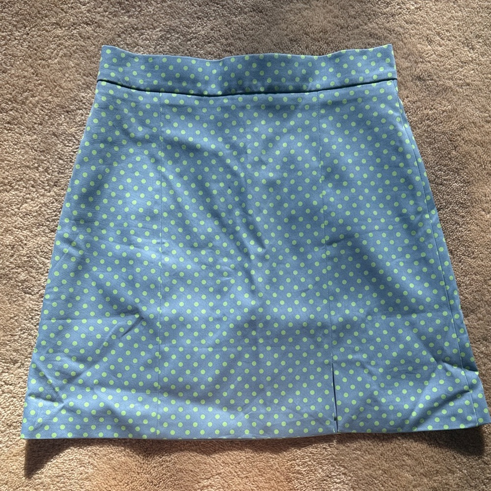 Zara Blue and Green Polka Dot Skirt - Picture 1 of 4